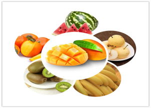 中醫養生保健 守護健康，傳承智慧